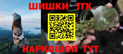 индика Обнинск