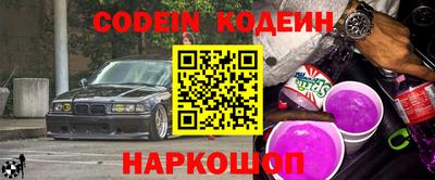 индика Обнинск